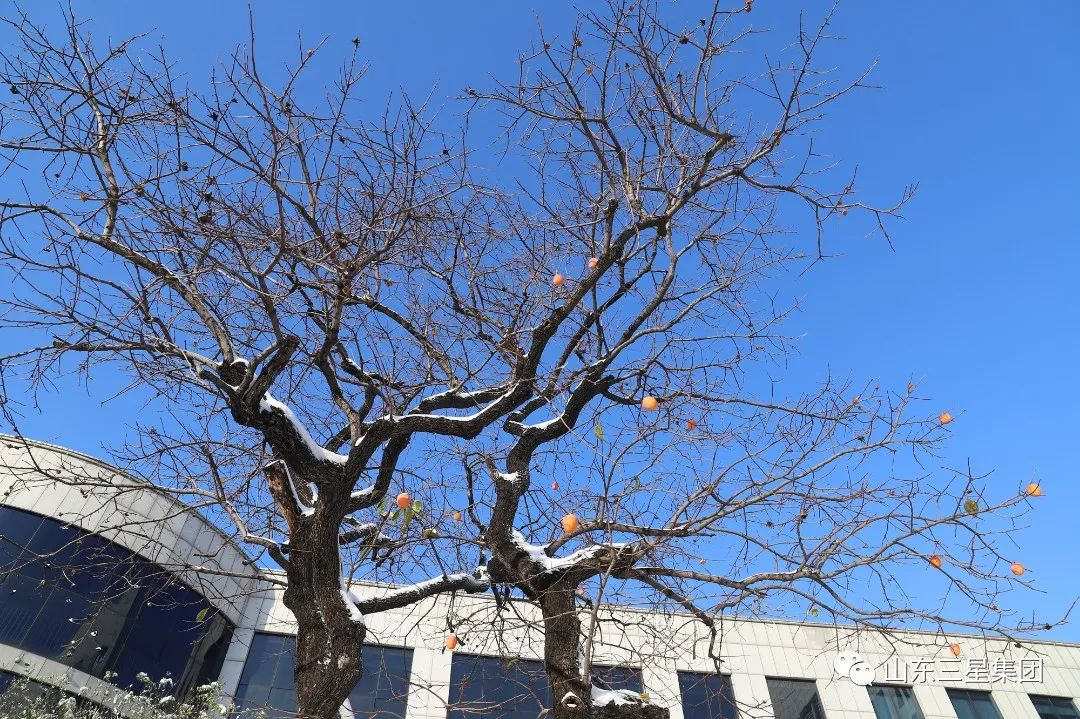 這樣的三星，你愛(ài)了嗎?