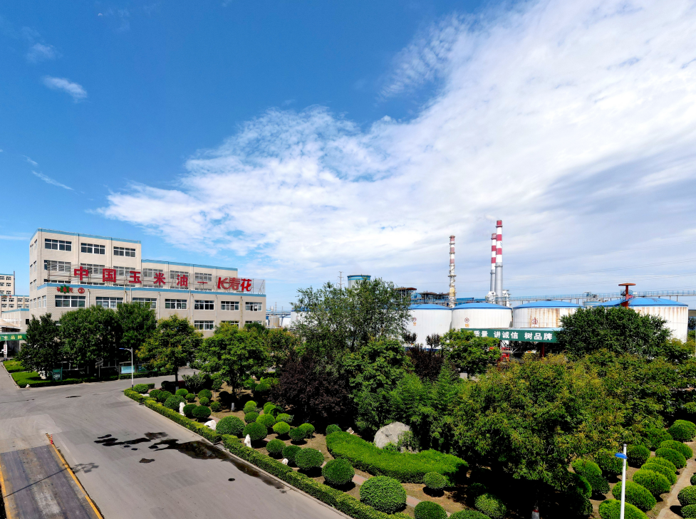 這些屬于長(zhǎng)壽花的關(guān)鍵詞標(biāo)簽，你了解嗎