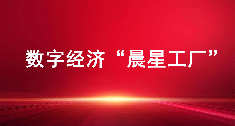裕航合金、長(zhǎng)壽花食品入選山東省首批數(shù)字經(jīng)濟(jì)“晨星工廠”