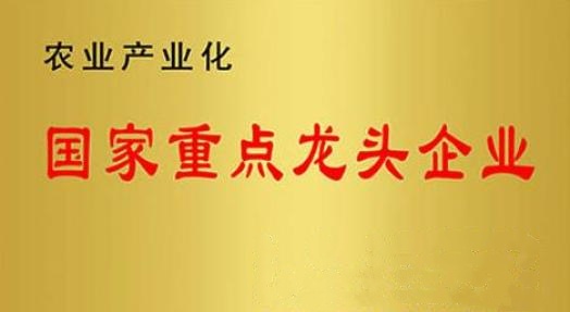 國家重點(diǎn)龍頭企業(yè)！山東三星集團(tuán)連續(xù)上榜